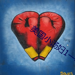 美(měi)国(guó)小汤妇1一4
