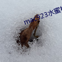 金年会(中国)官方网站