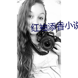 红袖添香小说网