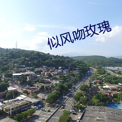 似(似)风吻玫瑰(瑰)