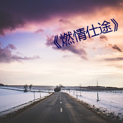 《燃情仕途小说