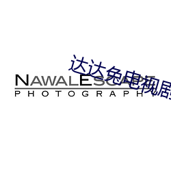 达达兔电视剧