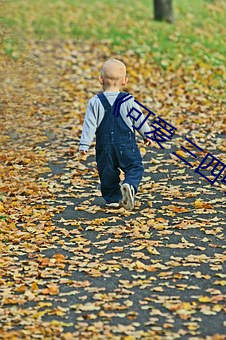 尊龙凯时·(中国)官方网站