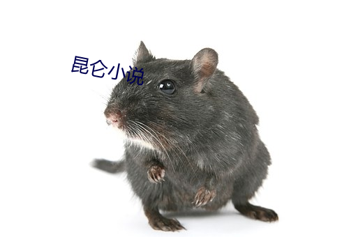 昆仑小说