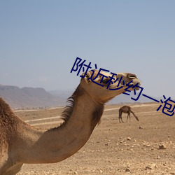 附近秒约一泡 （严紧）