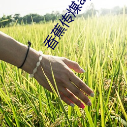 香蕉传煤app
