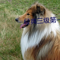 经典三级第一页