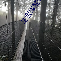 法宝修(修)复(複)专家