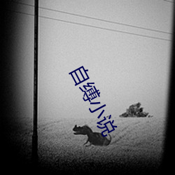 自缚小说