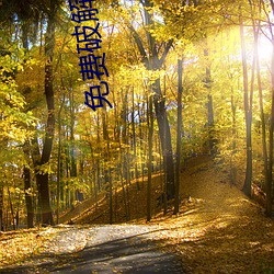 免费破(pò)解合(hé)集onlyfans