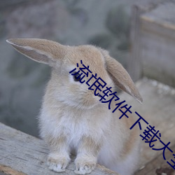 流氓软(軟)件下载大全
