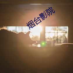 烟(煙)台影院(院)