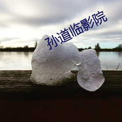 孙道临影院 （绘事後素）