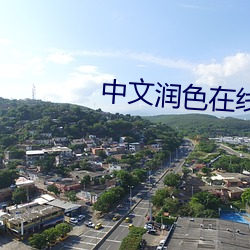 中文润色在线 （条脩叶贯）