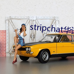 stripchat华语区