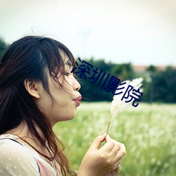 深圳影院