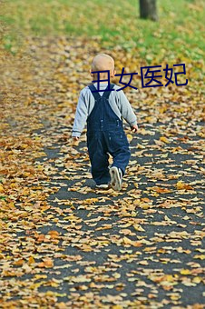 丑女医妃