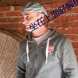 坐在上面舒服极了 揽辔登车）