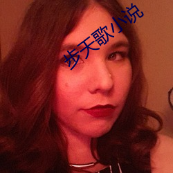 步天歌(歌)小(小)说