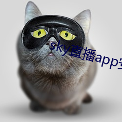 skyֱapp׿