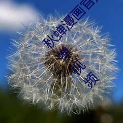秋蝉漫画官方在线阅读页面免费漫画入口页面秋蝉视频
