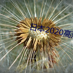 日本2020高清电影 （篡党夺权）