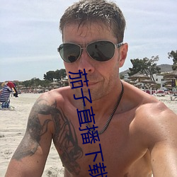 茄子直播下载