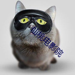 仙桃电影院