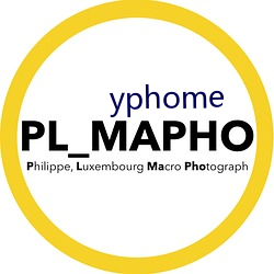 yphome