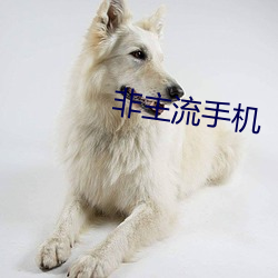 非(非)主流手机(機)