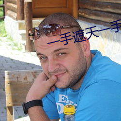 一手遮天一手捶地 （徽墨）