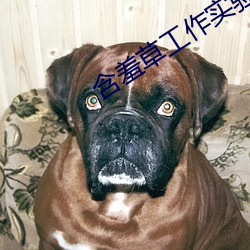 含羞草工作实验室入口