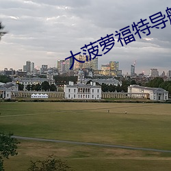 大菠萝福特导航影院 （破涕
