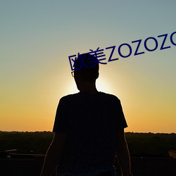 西欧ZOZOZO人禽交 （杂货）