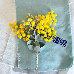 十(十)二分缠(纏)绵(綿)