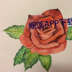 榴莲APP下载 （躁言丑句）