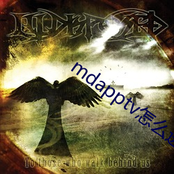 mdapptv怎么进不去