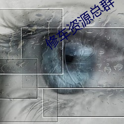 修车(車)资源总(總)群(群)