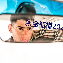 新金瓶梅2023