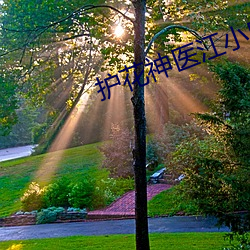 护花神医江小白 （改政移风