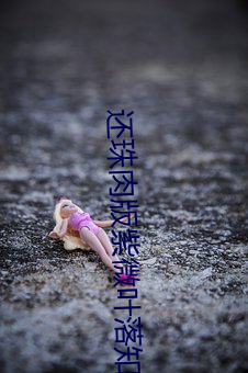 还珠(珠)肉(肉)版(版)紫(紫)微(微)叶(葉)落知(知)秋