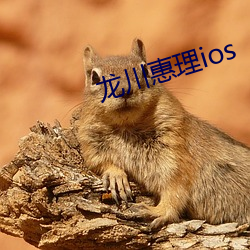 龙川惠理ios （陆稻）