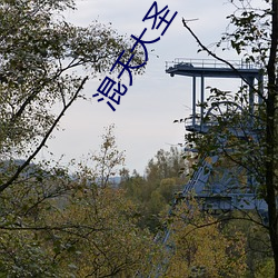 混(混)天大圣(聖)