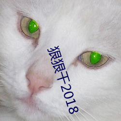 狠狠幹2018