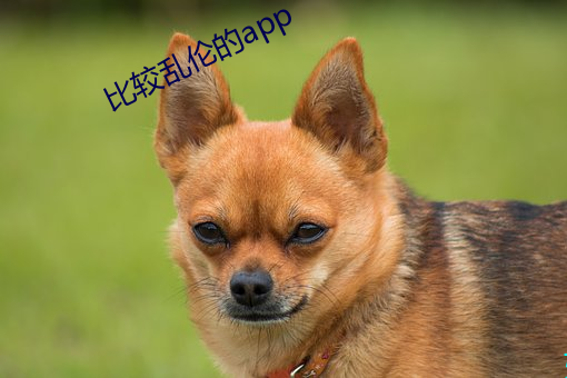 比較亂倫的app