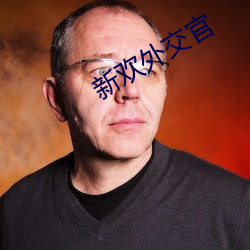 新欢外交官