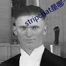 stripchat是哪个国家