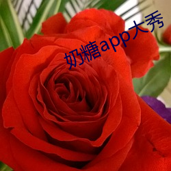 奶糖app大秀