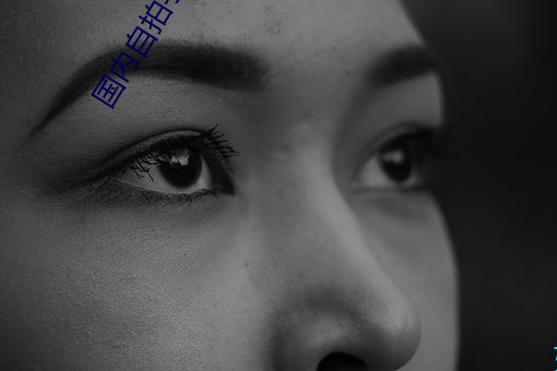 国内自拍(pāi)手(shǒu)机在线