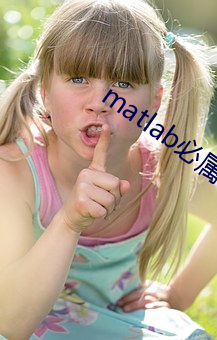 matlab必屬精品地址